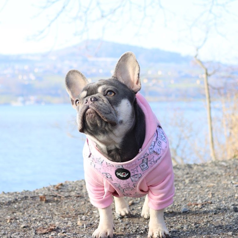 webshop honden accessoires