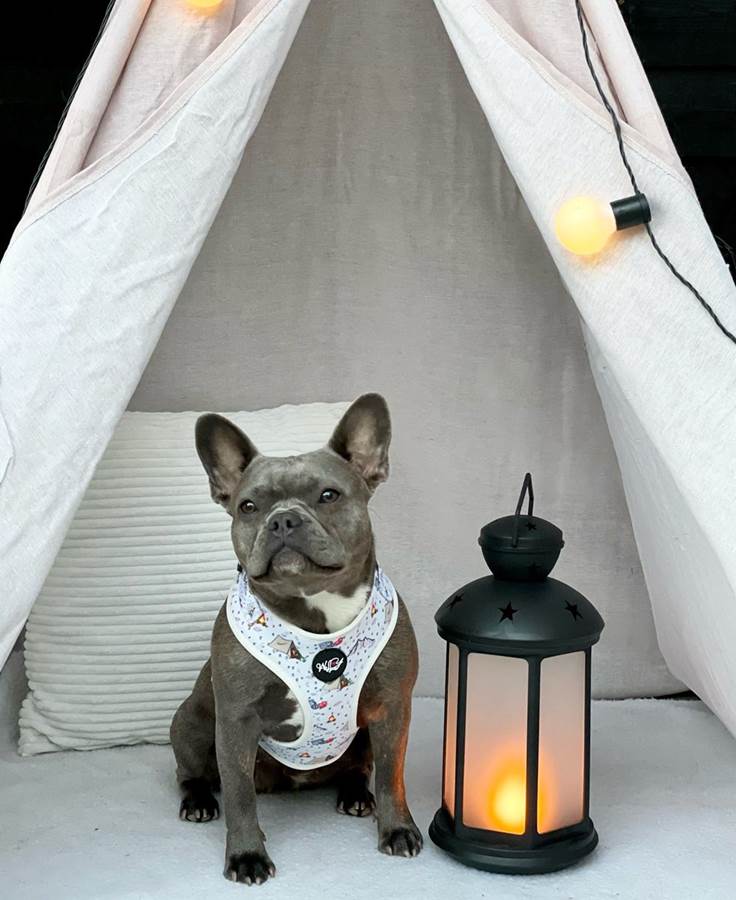 Camping bundle set best sale