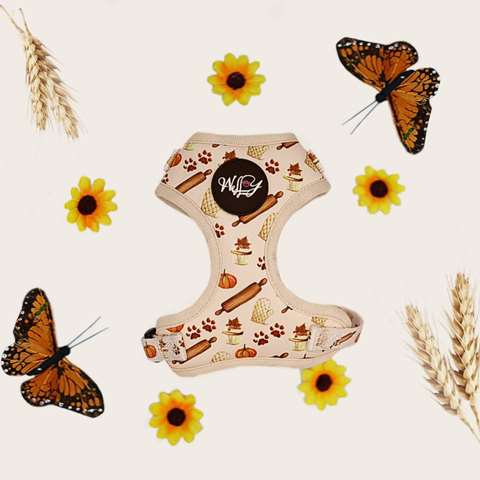 Harness - Pumpkin Paws