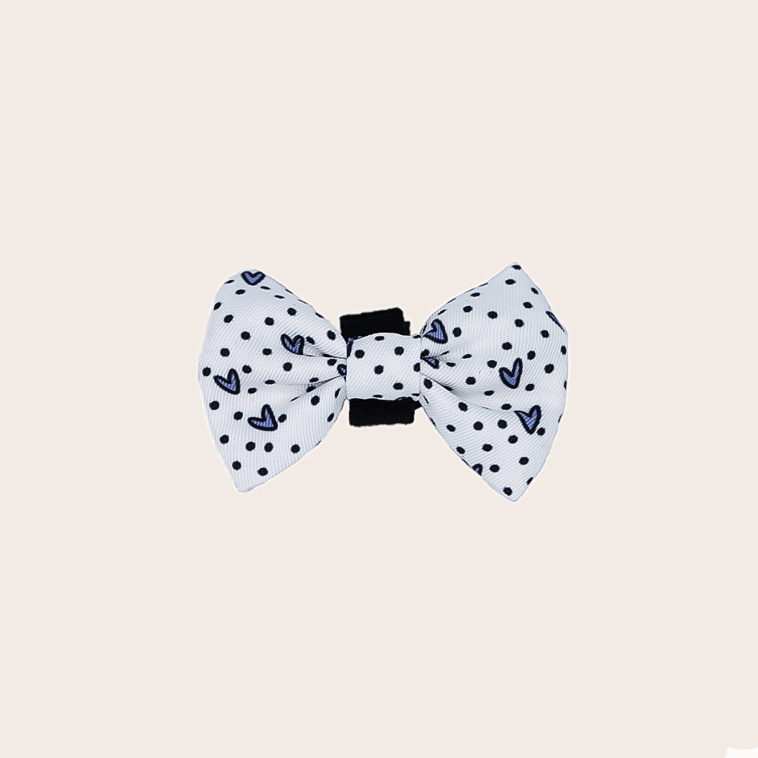 Bowtie - Dots of Love -BLUE/GREY