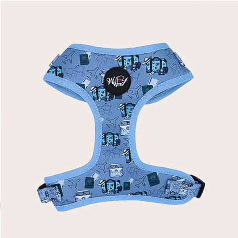 Harness - Paws around the world -BLUE