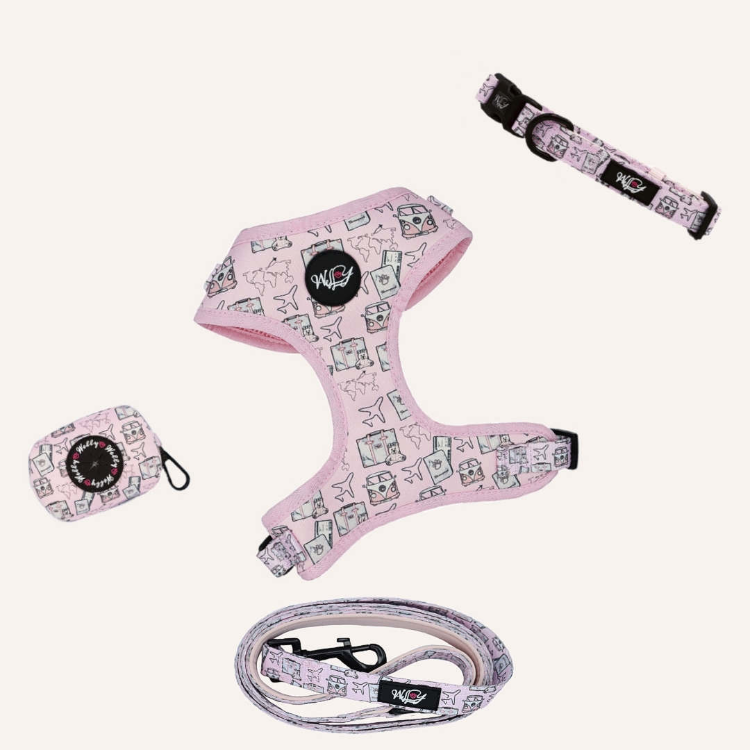 Bundle set  - Pawsaround the world - PINK