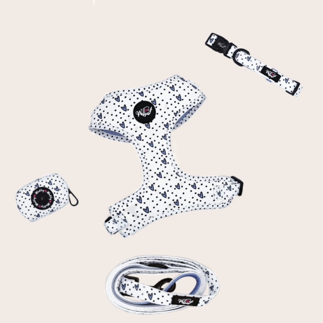 Bundel set  - Dots of Love - BLUE / GREY