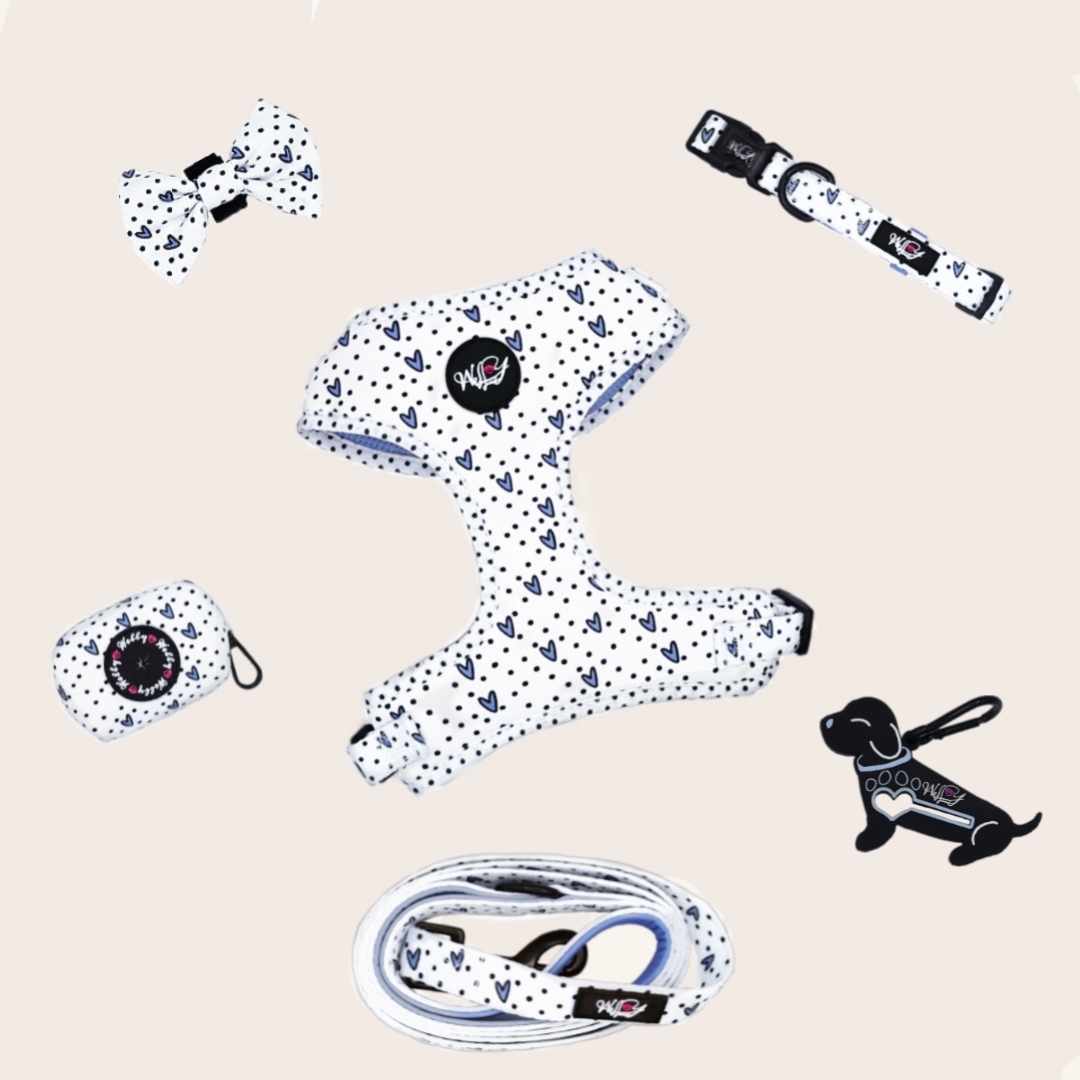 Bundel set  - Dots of Love -  BLUE/ GREY L