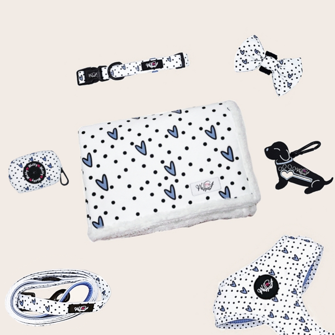 Bundle set  - Dots of Love - BLUE/GREY XL