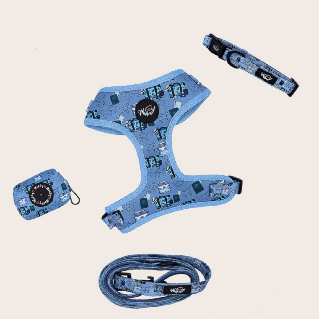 Bundel set  - Pawsaround the world - BLAUW