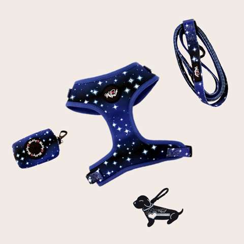 Bundle set  - Midnight Stars