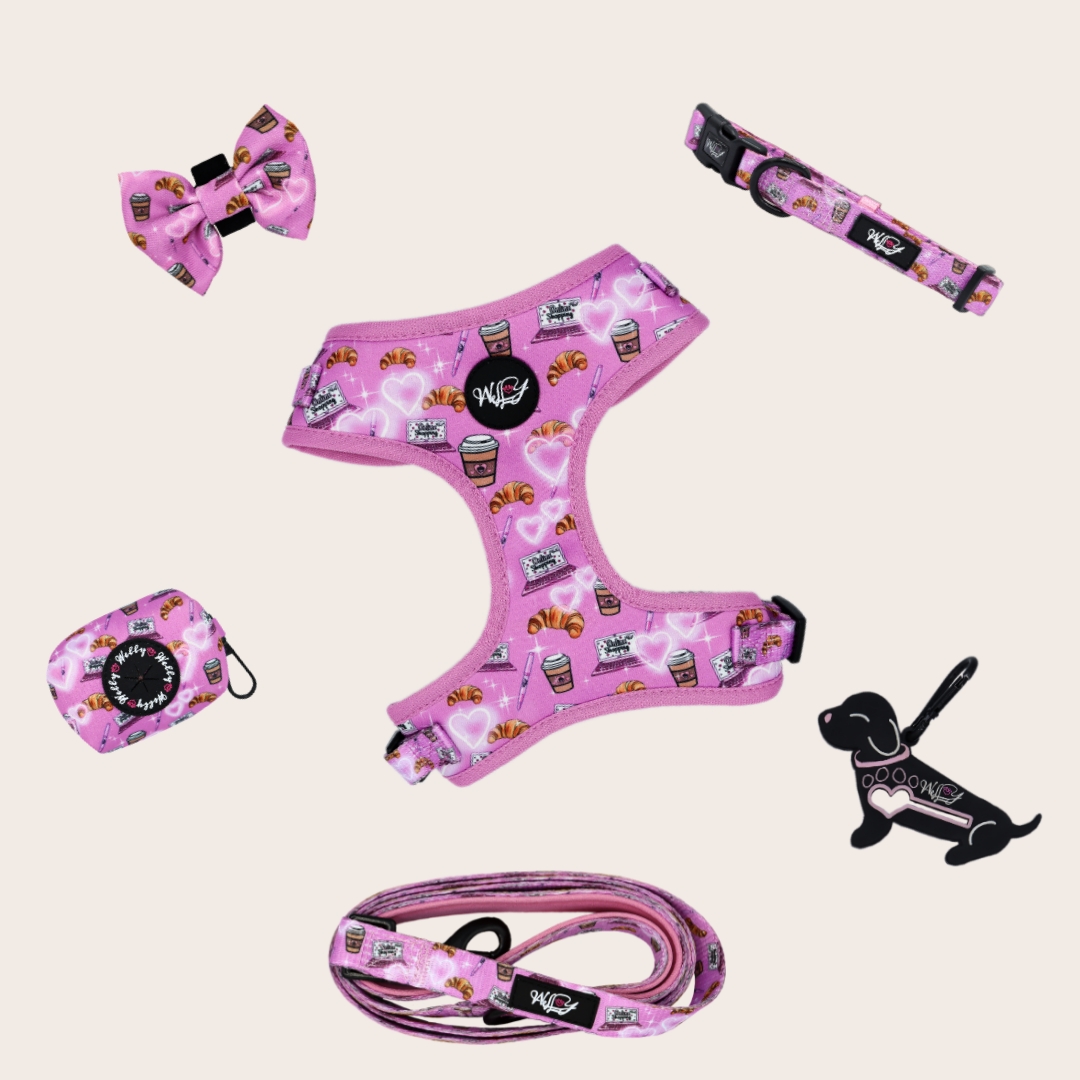 Bundle set  - Rose Dejeuner L