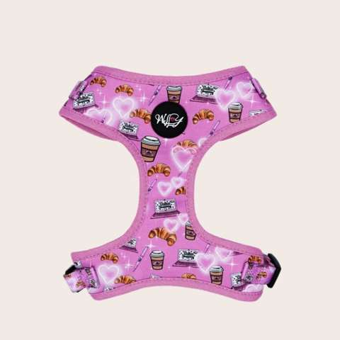 Harness - Rose Dejeuner