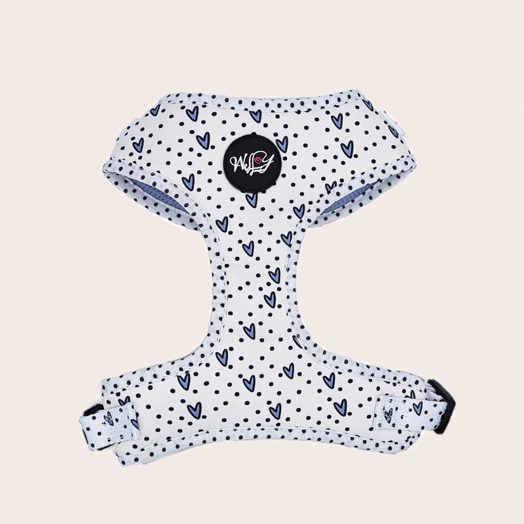 Harness - Dots of Love -BLUE/GREY