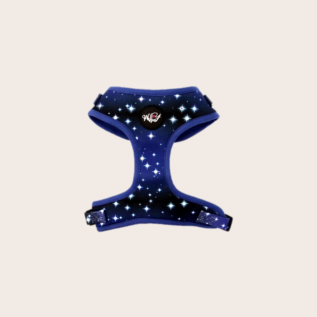 Harness - Midnight Stars