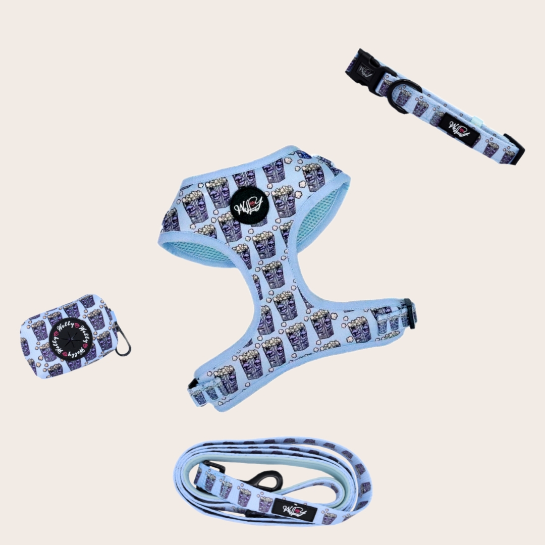 Bundle set  - Pupcorn blue