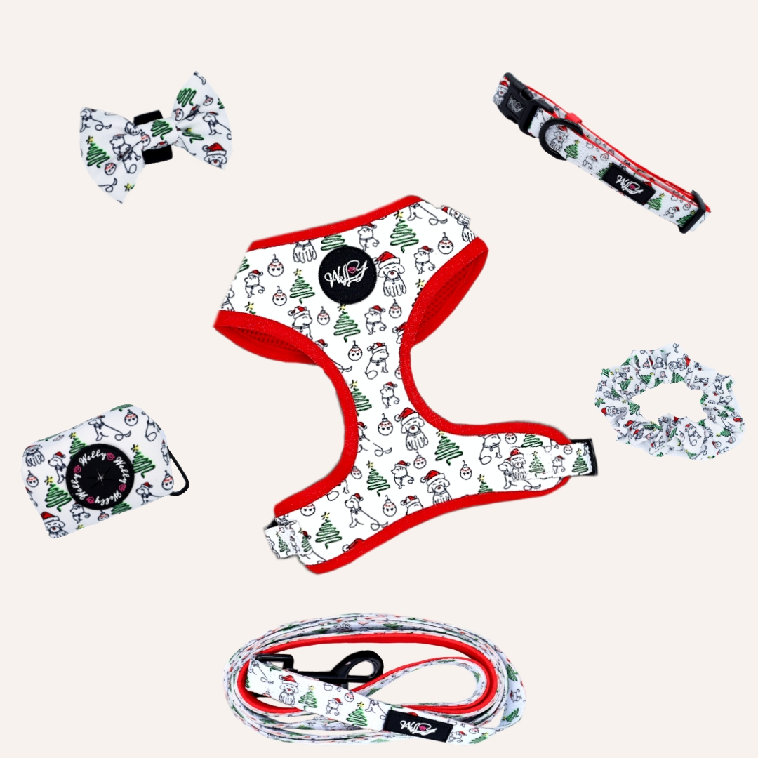 Bundle set  - Santa Pawss