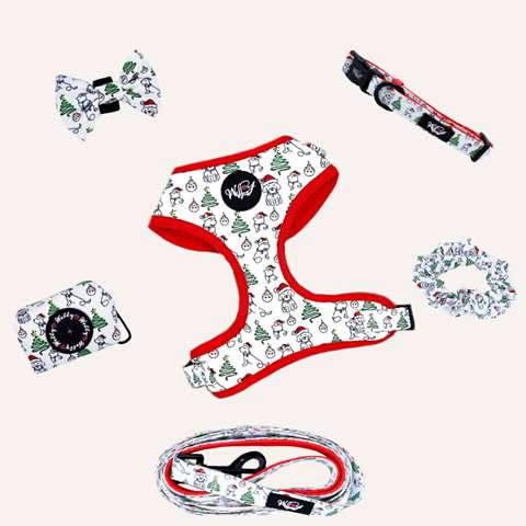 Bundle set  - Santa Pawss