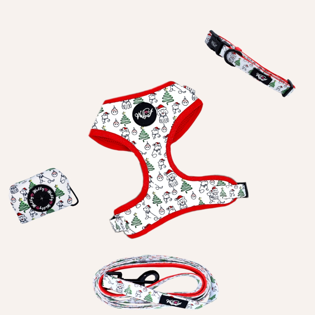 Bundle set  - Santa Paws