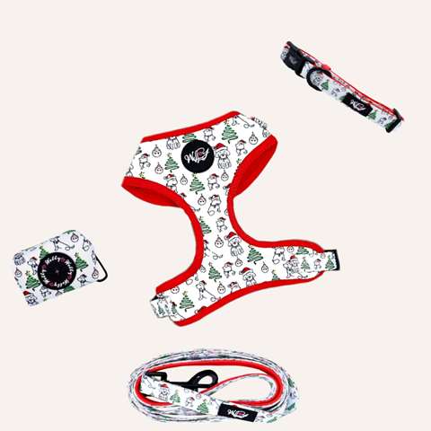Bundle set  - Santa Paws