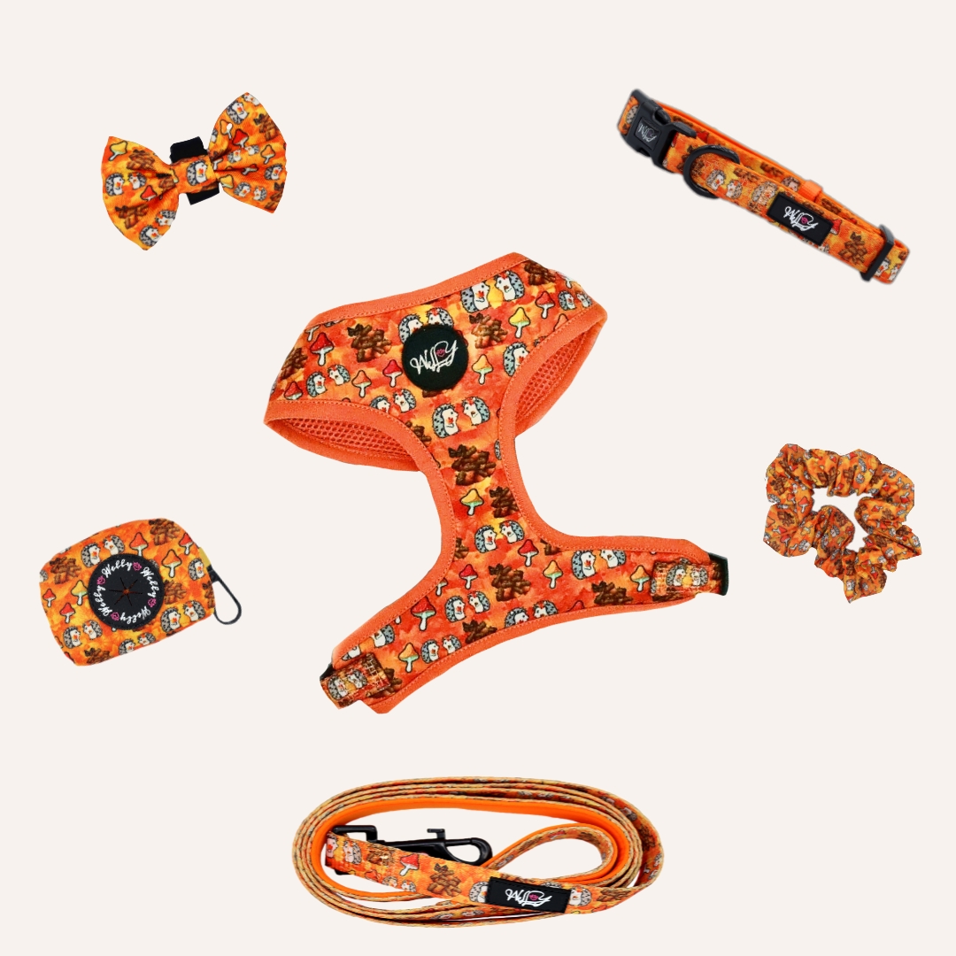 Bundle set  - Falling in LLove