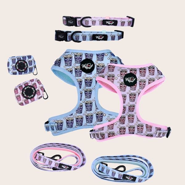 Hondenaccessoires set
