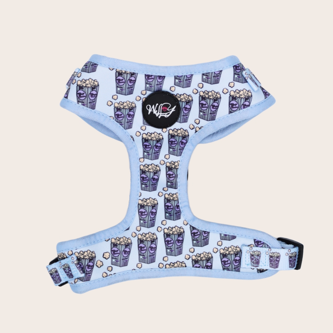 Harness - Pupcorn blue