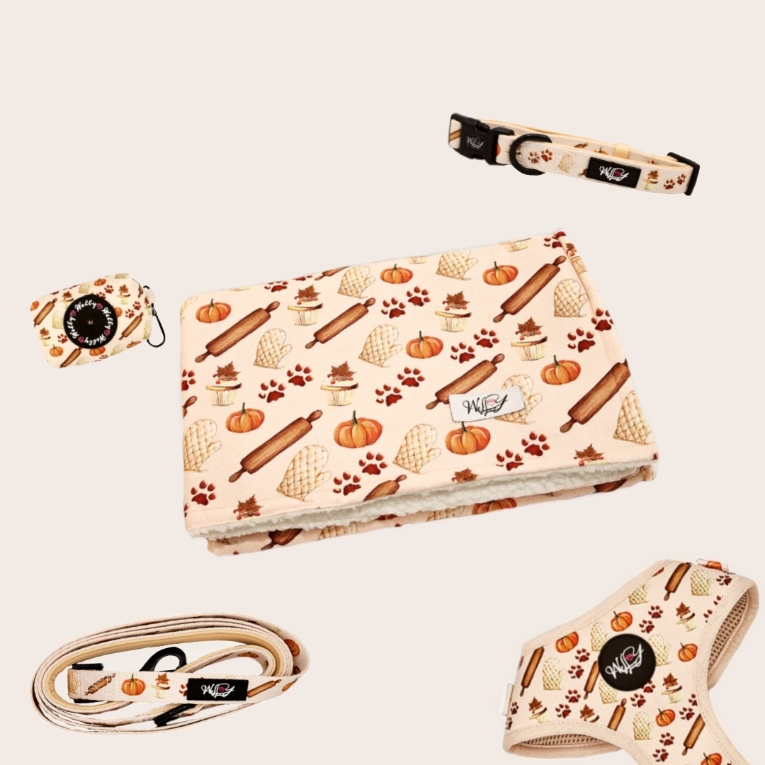 Bundle set  - Pumpkin Paws XL