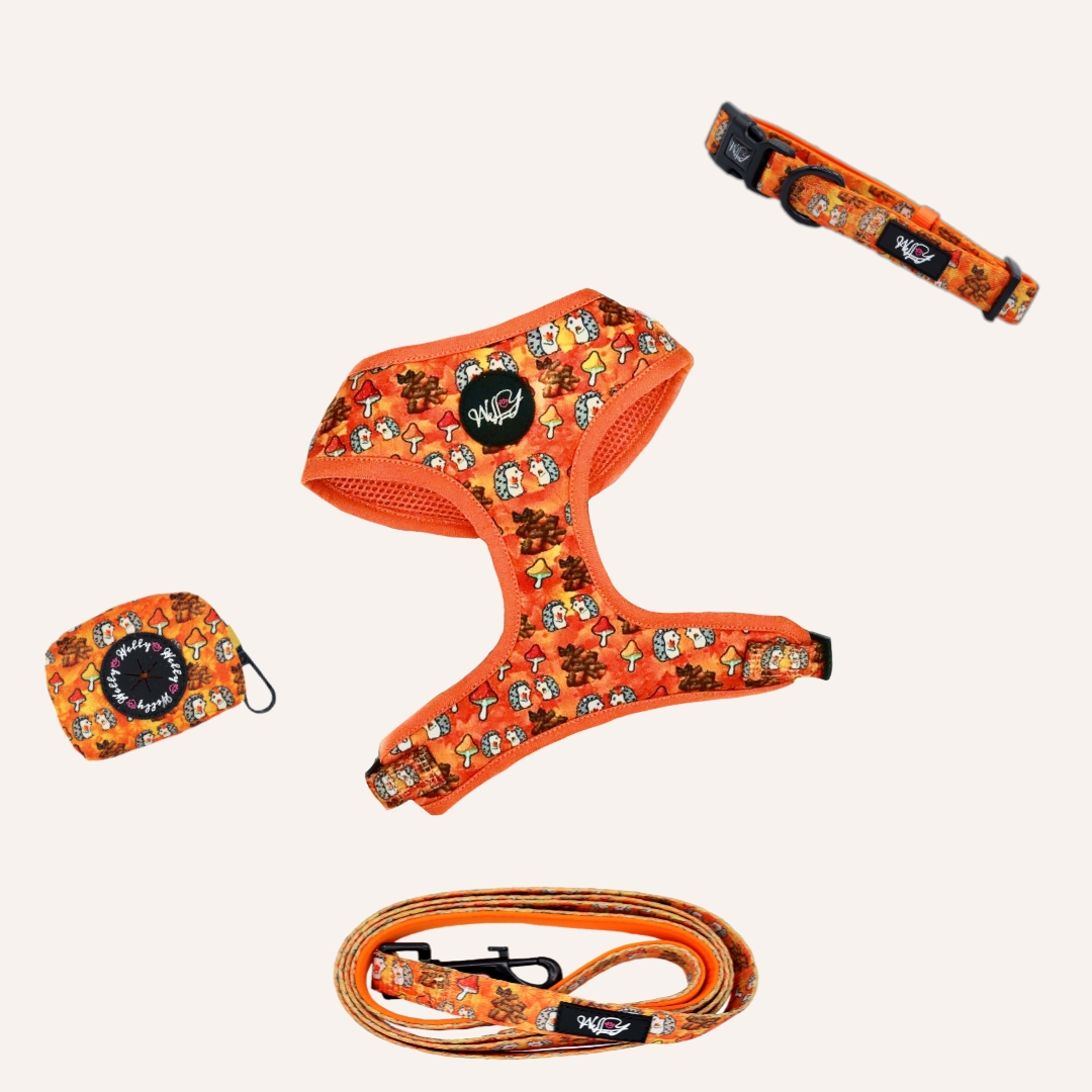 Bundle set  - Falling in Love