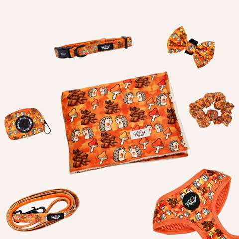 Bundle set  - Falling in Love XXL