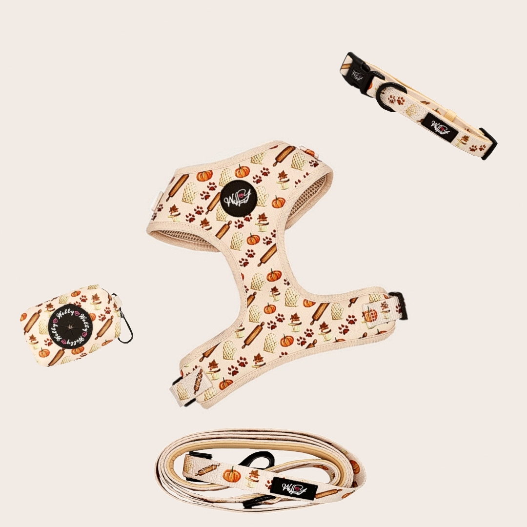 Bundle set  - Pumpkin Paws