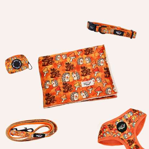 Bundel set  - Falling in Love XL